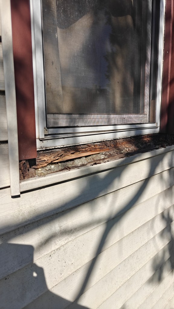 rotted window sill trim